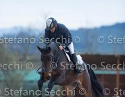 Dahila della Verdina Tosc Tour2013- S5 1778 : Arezzo, Cavalli d'Italia, Dahila della Verdina, Toscana Tour 2013, foto di Stefano Secchi ©